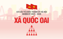 Cơ cấu tổ chức Đảng ủy xã Quốc Oai nhiệm kỳ 2025-2030