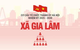 Cơ cấu tổ chức Đảng ủy xã Gia Lâm nhiệm kỳ 2025-2030