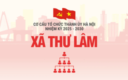 Cơ cấu tổ chức Đảng ủy xã Thư Lâm nhiệm kỳ 2025-2030