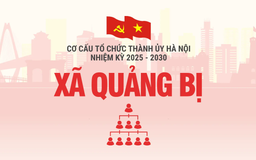 Cơ cấu tổ chức Đảng ủy xã Quảng Bị nhiệm kỳ 2025-2030