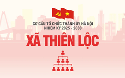 Cơ cấu tổ chức Đảng ủy xã Thiên Lộc nhiệm kỳ 2025-2030