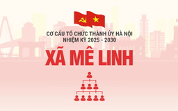 Cơ cấu tổ chức Đảng ủy xã Mê Linh nhiệm kỳ 2025-2030