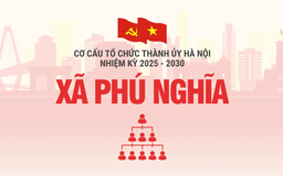 Cơ cấu tổ chức Đảng ủy xã Phú Nghĩa nhiệm kỳ 2025-2030
