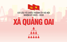 Cơ cấu tổ chức Đảng ủy xã Quảng Oai nhiệm kỳ 2025-2030