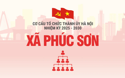 Cơ cấu tổ chức Đảng ủy xã Phúc Sơn nhiệm kỳ 2025-2030