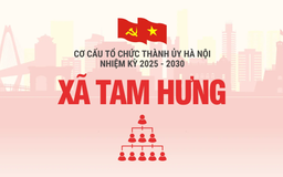 Cơ cấu tổ chức Đảng ủy xã Tam Hưng nhiệm kỳ 2025-2030