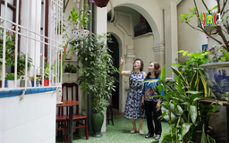 Người phụ nữ "ươm xanh" con ngõ nhỏ | Người tốt quanh ta | 22/09/2025