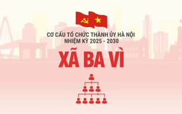 Cơ cấu tổ chức Đảng ủy xã Ba Vì nhiệm kỳ 2025-2030
