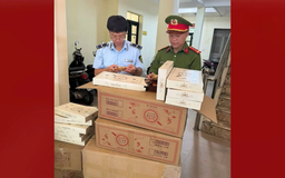 Hơn 300 bánh Trung thu lậu bị tiêu hủy tại Hà Nội