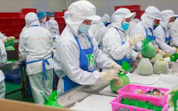 EVFTA - 'Chất xúc tác' cho xuất khẩu của Việt Nam