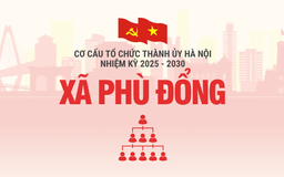 Cơ cấu tổ chức Đảng ủy xã Phù Đổng nhiệm kỳ 2025-2030