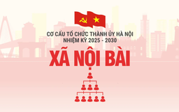 Cơ cấu tổ chức Đảng ủy xã Nội Bài nhiệm kỳ 2025-2030