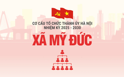 Cơ cấu tổ chức Đảng ủy xã Mỹ Đức nhiệm kỳ 2025-2030