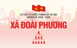 Cơ cấu tổ chức Đảng ủy xã Đoài Phương nhiệm kỳ 2025-2030