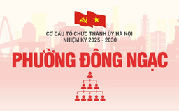 Cơ cấu tổ chức Đảng ủy phường Đông Ngạc nhiệm kỳ 2025-2030
