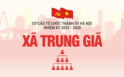 Cơ cấu tổ chức Đảng ủy xã Trung Giã nhiệm kỳ 2025-2030