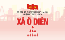 Cơ cấu tổ chức Đảng ủy xã Ô Diên nhiệm kỳ 2025-2030
