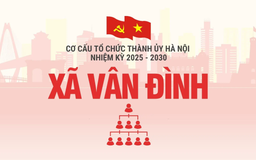 Cơ cấu tổ chức Đảng ủy xã Vân Đình nhiệm kỳ 2025-2030