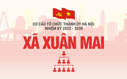 Cơ cấu tổ chức Đảng ủy xã Xuân Mai nhiệm kỳ 2025-2030