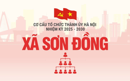 Cơ cấu tổ chức Đảng ủy xã Sơn Đồng nhiệm kỳ 2025-2030