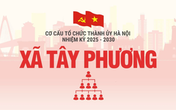 Cơ cấu tổ chức Đảng ủy xã Tây Phương nhiệm kỳ 2025-2030