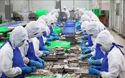 Hơn 98% doanh nghiệp nông sản đạt chuẩn an toàn thực phẩm