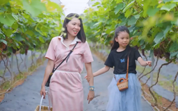 Hà Nội chú trọng sản xuất nông nghiệp xanh | Chuyển đổi xanh | 20/09/2025