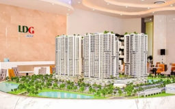 LDG bị nhắc nhở do chậm công bố thông tin