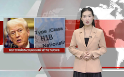 Nguy cơ phản tác dụng khi Mỹ siết thị thực H-1B | Nhìn ra thế giới | 24/09/2025