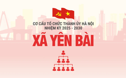 Cơ cấu tổ chức Đảng ủy xã Yên Bài nhiệm kỳ 2025-2030