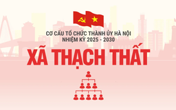 Cơ cấu tổ chức Đảng ủy xã Thạch Thất nhiệm kỳ 2025-2030