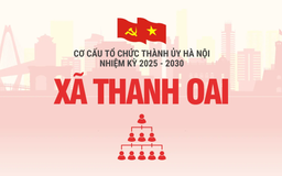 Cơ cấu tổ chức Đảng ủy xã Thanh Oai nhiệm kỳ 2025-2030