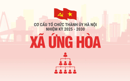Cơ cấu tổ chức Đảng ủy xã Ứng Hoà nhiệm kỳ 2025-2030