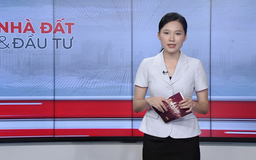 Bản tin Nhà đất và đầu tư | 25/09/2025