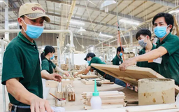 Hơn 19.000 doanh nghiệp/tháng ra đời sau Nghị quyết 68