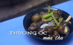 Thưởng ốc mùa thu | Nhịp sống Hà Nội | 27/09/2025