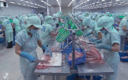 5 năm EVFTA - xuất khẩu tăng trưởng vượt bậc | Thủ đô và thế giới | 27/09/2025