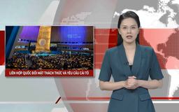 Liên hợp quốc đối mặt thách thức và yêu cầu cải tổ | Nhìn ra thế giới | 28/09/2025