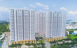 Cần đa dạng danh mục đầu tư để tránh rủi ro