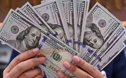 Đồng USD suy yếu trước nguy cơ chính phủ Mỹ đóng cửa