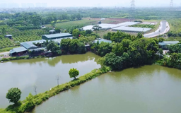 Hà Nội phê duyệt Kế hoạch sử dụng đất 5 năm (2021-2025)