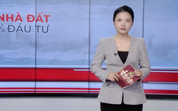 Bản tin Nhà đất và đầu tư | 03/09/2025
