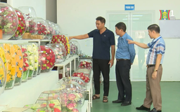 Làm giàu từ kinh doang hoa tươi "bất tử" ở Mê Linh | Người tốt quanh ta | 01/10/2025