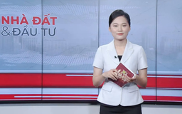 Bản tin Nhà đất và đầu tư | 04/09/2025