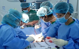 Năm ca ghép gan được thực hiện thành công trong một tuần