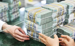 26 doanh nghiệp chia cổ tức tuần tới