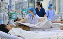 Hà Nội ghi nhận nhiều ca mắc sốt xuất huyết trong tuần