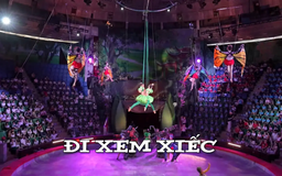 Đi xem xiếc | Nhịp sống Hà Nội | 07/09/2025
