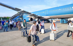 Giá vé máy bay Tết tăng cao dù được mở bán sớm