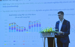 Tín dụng tăng nóng tiềm ẩn rủi ro hệ thống ngân hàng